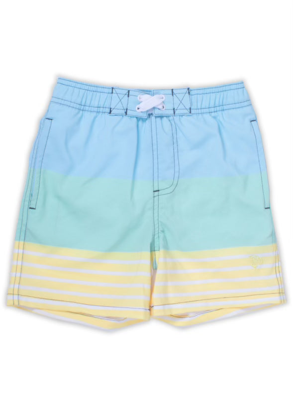 Stripe Color Block Trunks