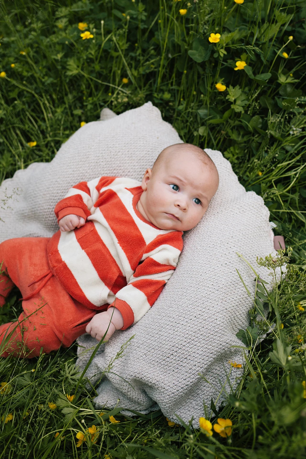Milo Stripe Sweater