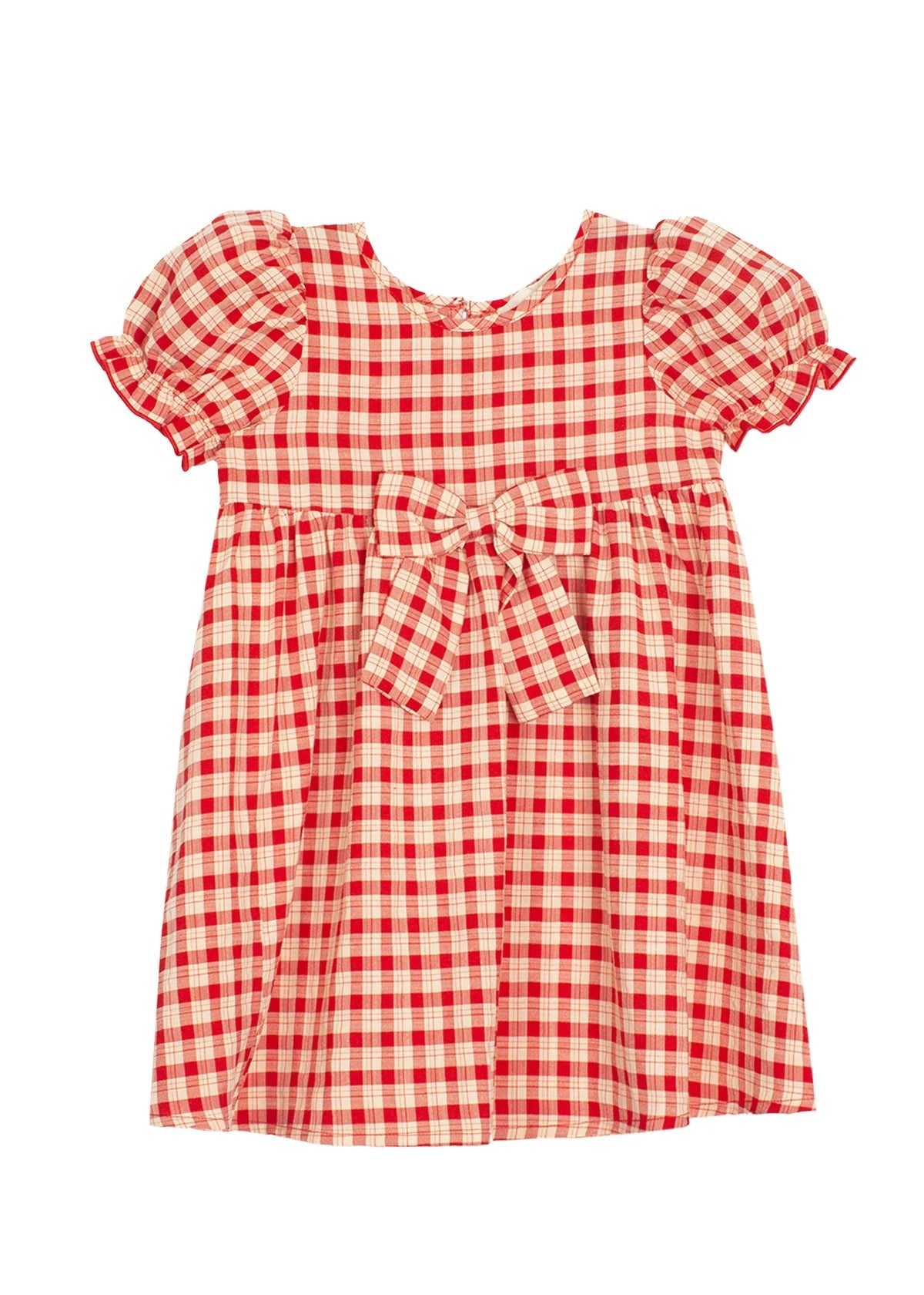Paisley Woven Plaid Dress - Wren Harper