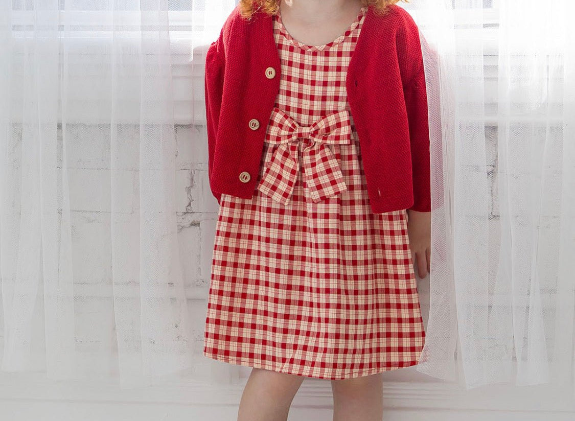 Paisley Woven Plaid Dress - Wren Harper