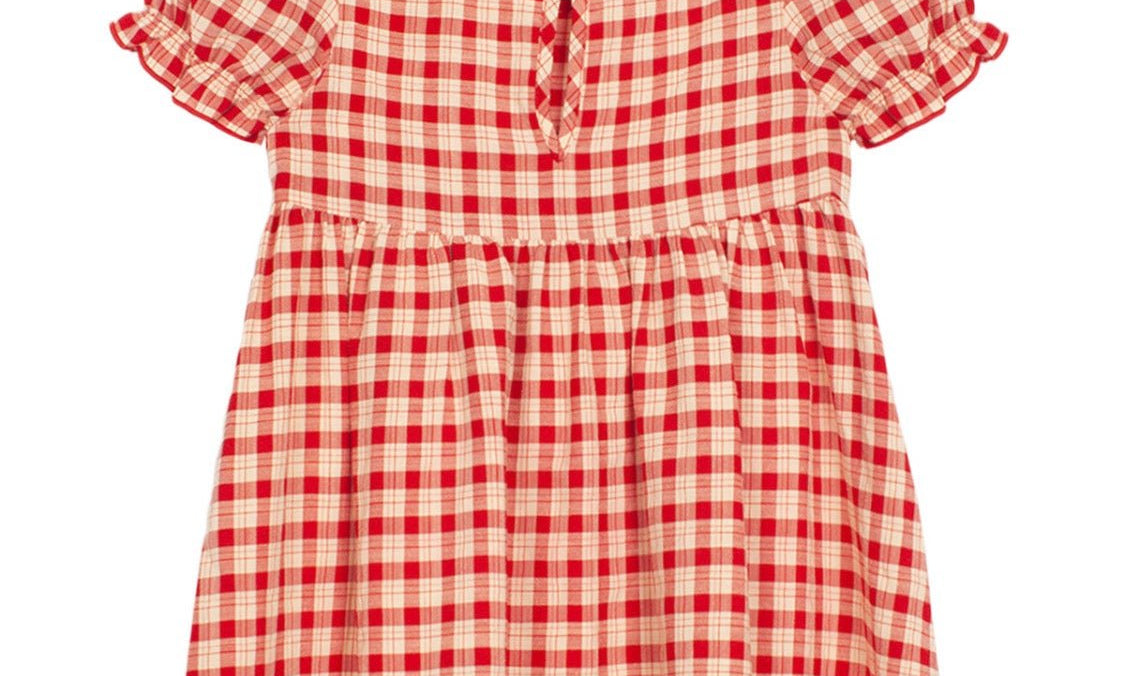 Paisley Woven Plaid Dress - Wren Harper