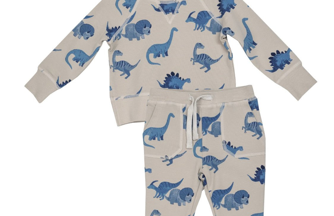 Raglan Sweatshirt Set Blue Dino - Wren Harper