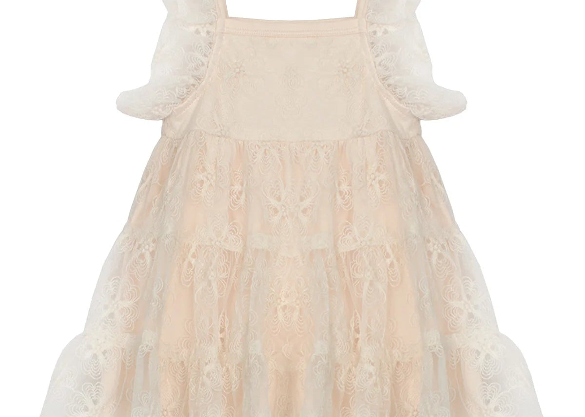 Vanilla Bean Embroidered Net Dress - Wren Harper
