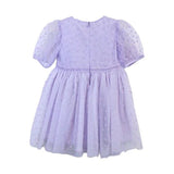 Velvet Heart Mesh Dress - Wren Harper
