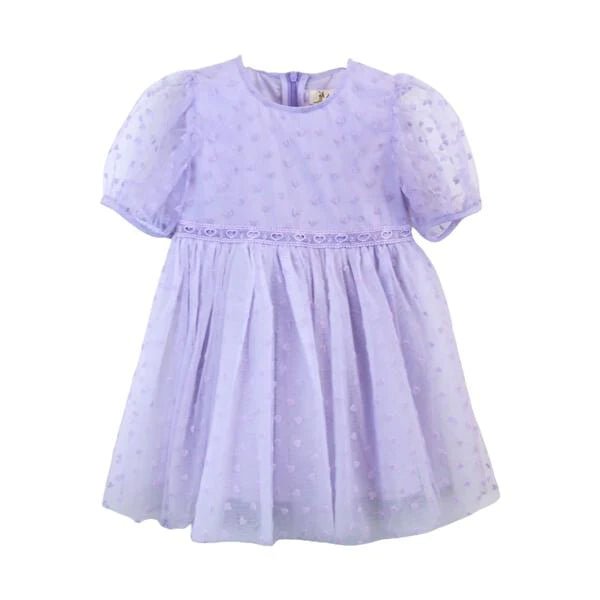 Velvet Heart Mesh Dress - Wren Harper